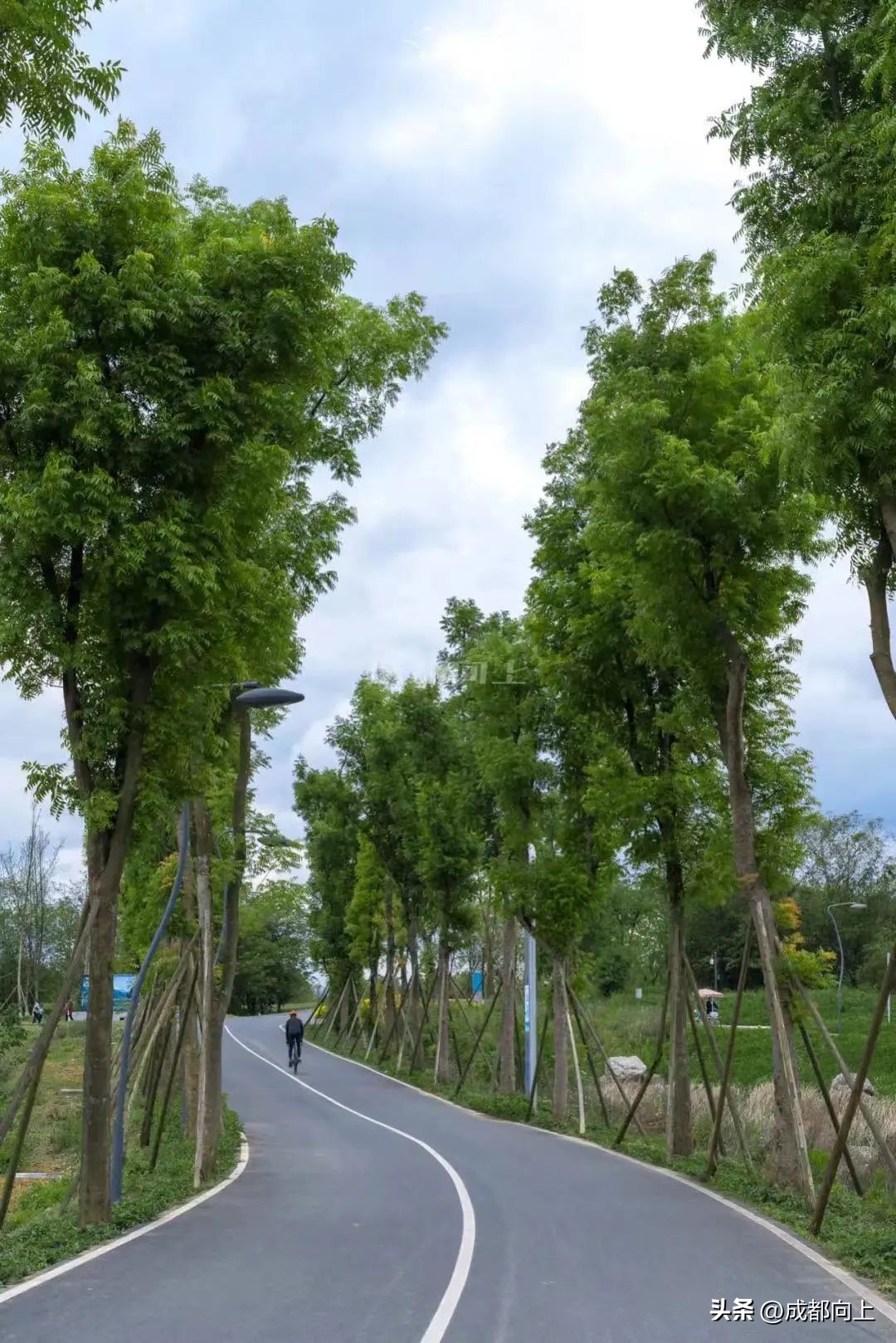 目前成都公园城市存在哪些问题,成都公园城市成效