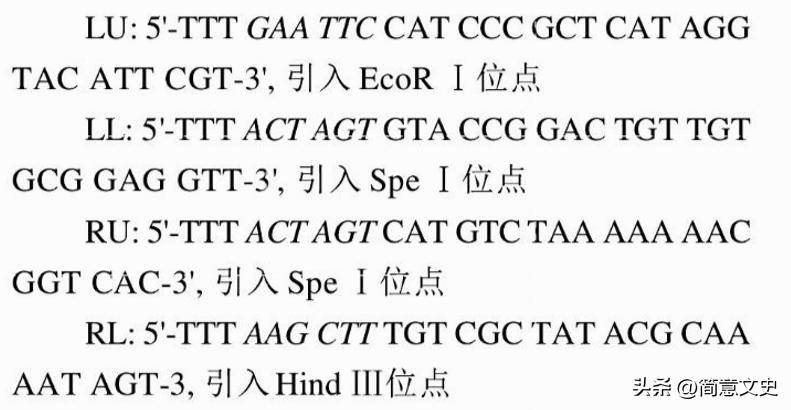 绿色荧光蛋白基因的克隆,绿色荧光蛋白在基因工程的作用