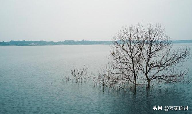 张爱玲《怨女》经典语录-漂亮有什么用处