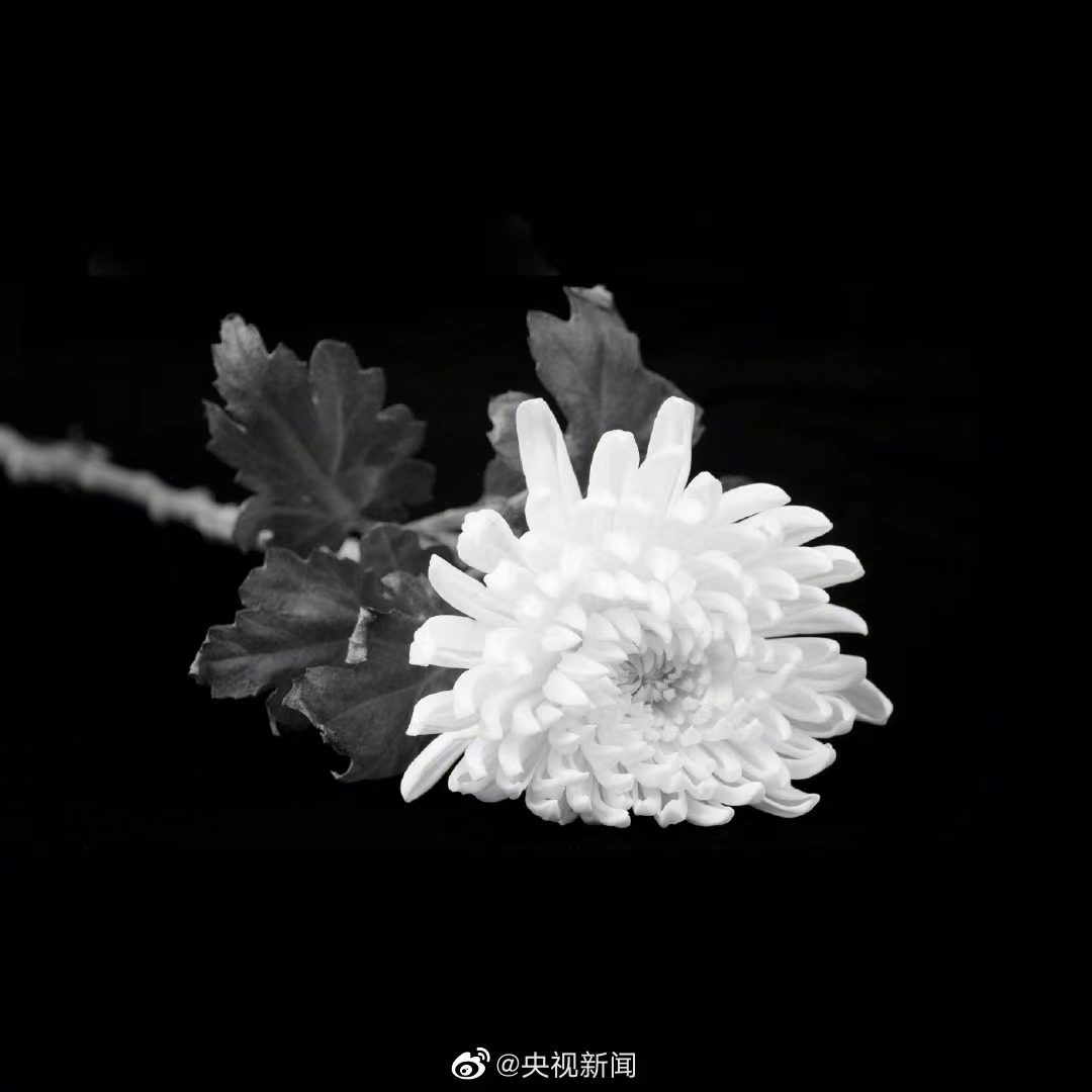 江*民泽**同志治丧委员会公告（第2号）