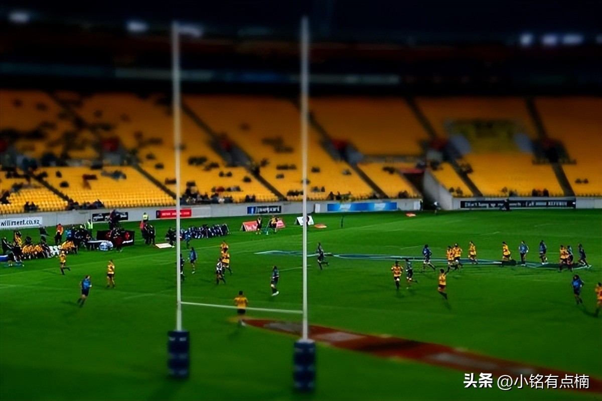 泰勒的传奇一生,泰勒的历程