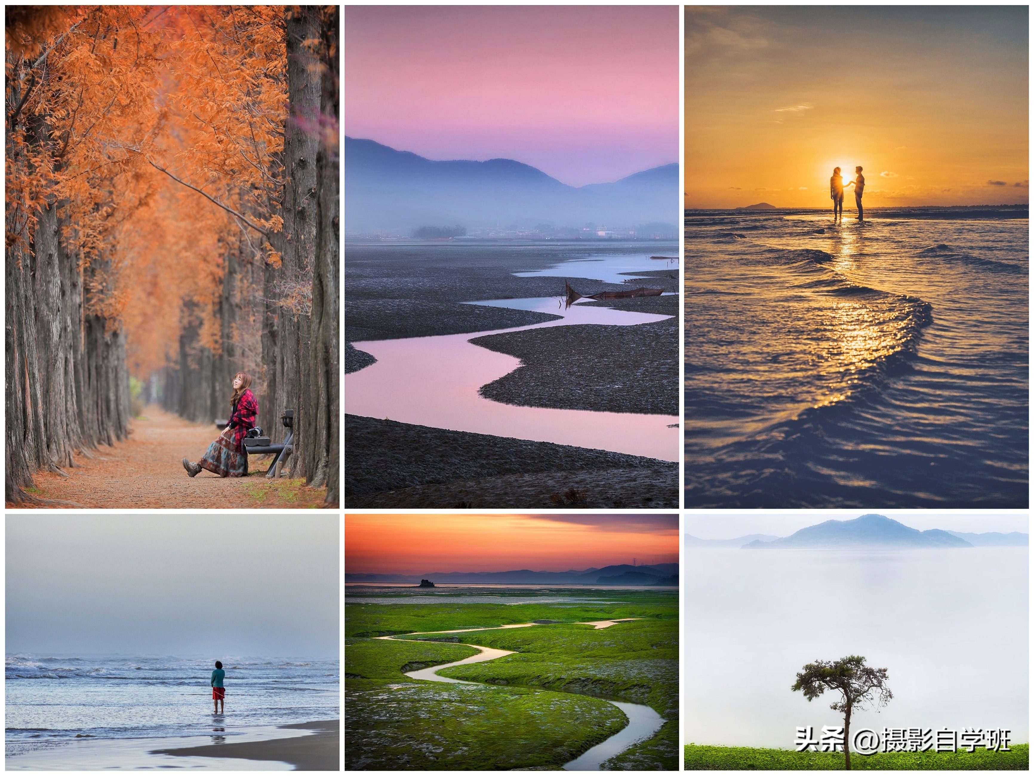 手机摄影实用摄影技巧,手机摄影最新拍摄小技巧热门作品