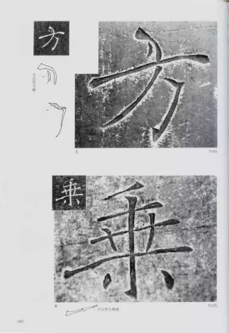 宸ョ瑪鐢绘潹鏅箟鐢诲唽,鏉滈箖鏉ㄦ櫘涔夊畬鏁寸増