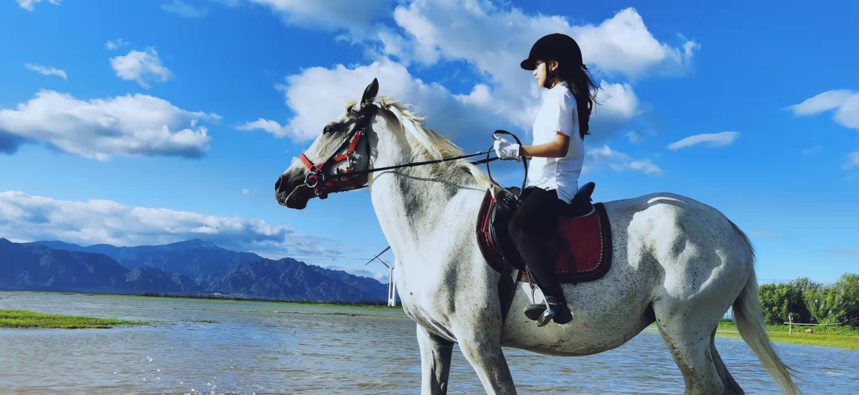 2023华杯赛夏令营,华誉外交官