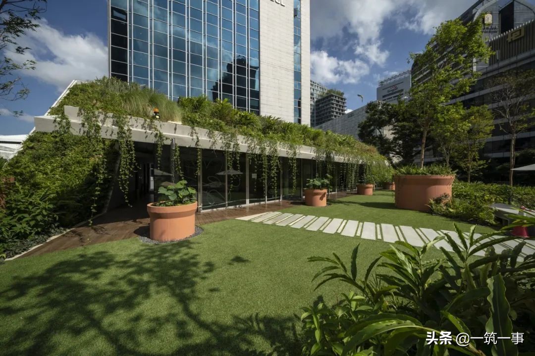 带你看六款奇葩的房屋建筑,法式建筑房顶设计效果图大全