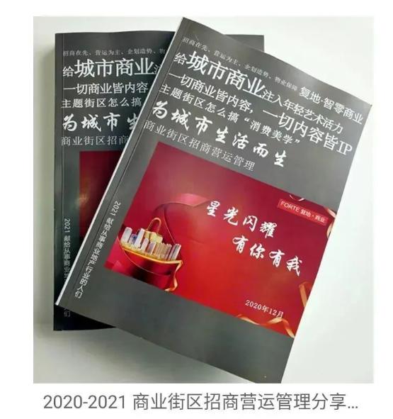 商业地产招商经理需要会什么,商业地产招商经理个人工作总结