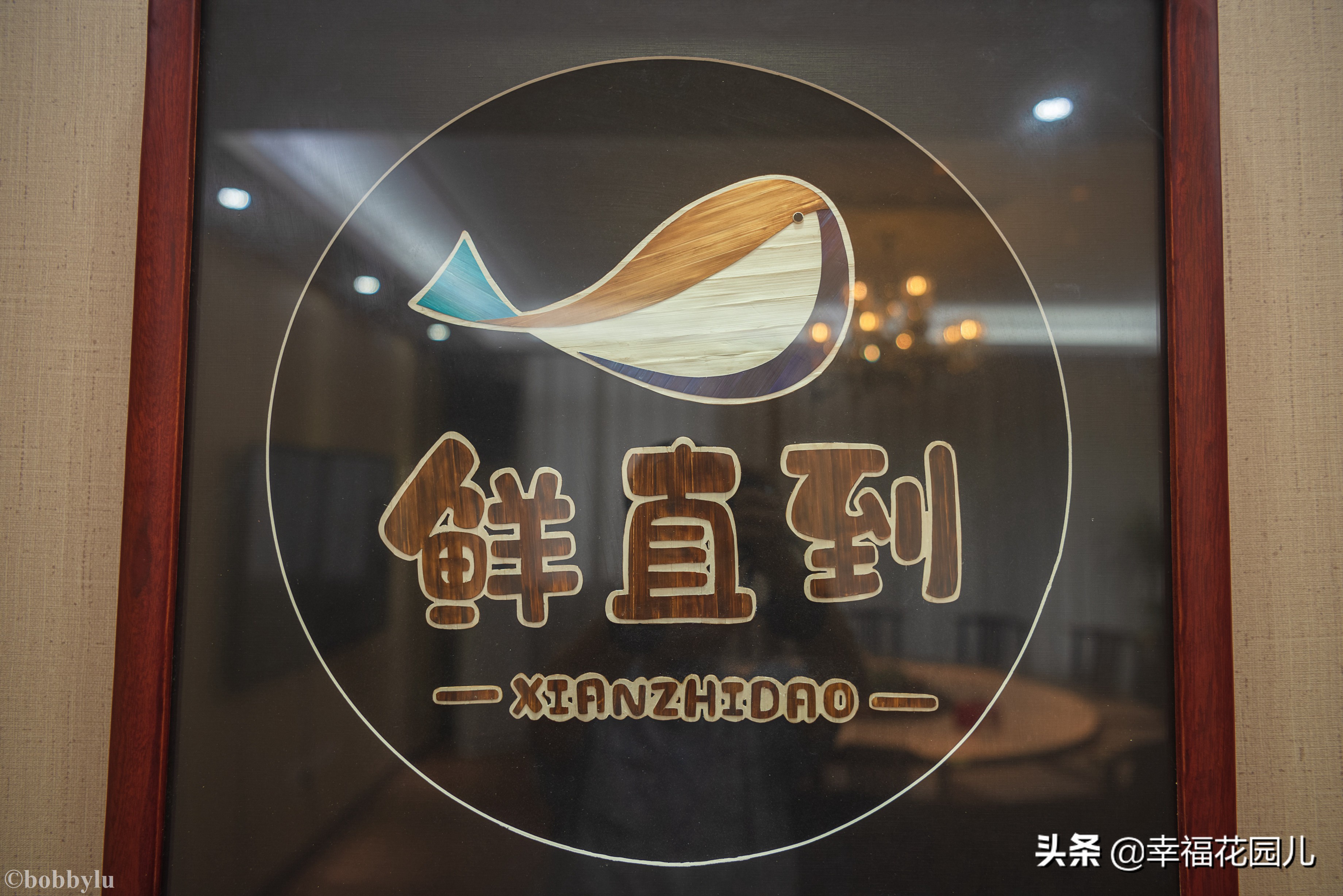 美味河豚有多金贵？养殖就有多娇贵！十里海河豚小镇探秘美食之源