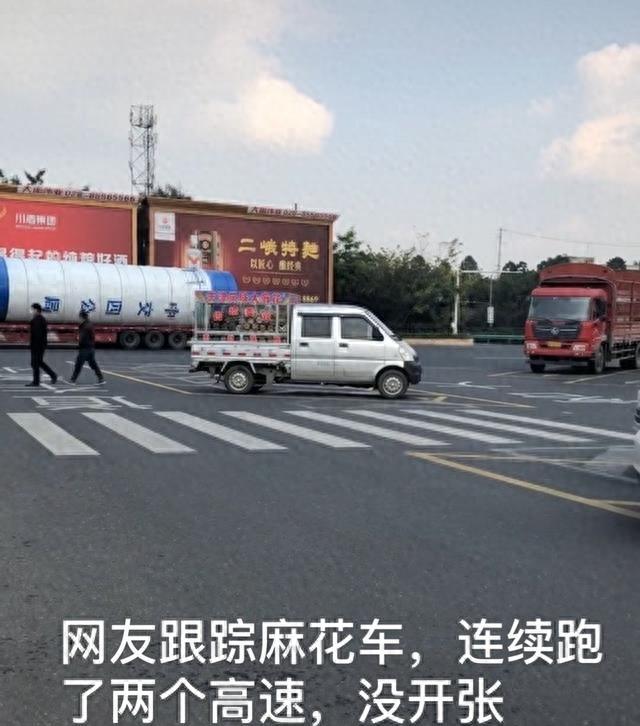 神秘组织天津大麻花的秘密,神秘势力天津大麻花