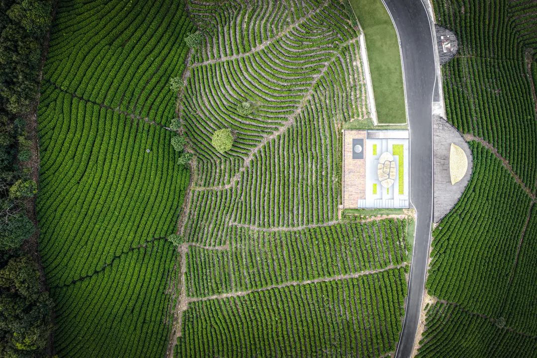 中国茶申遗成功吗,中国茶申遗成功44项名单