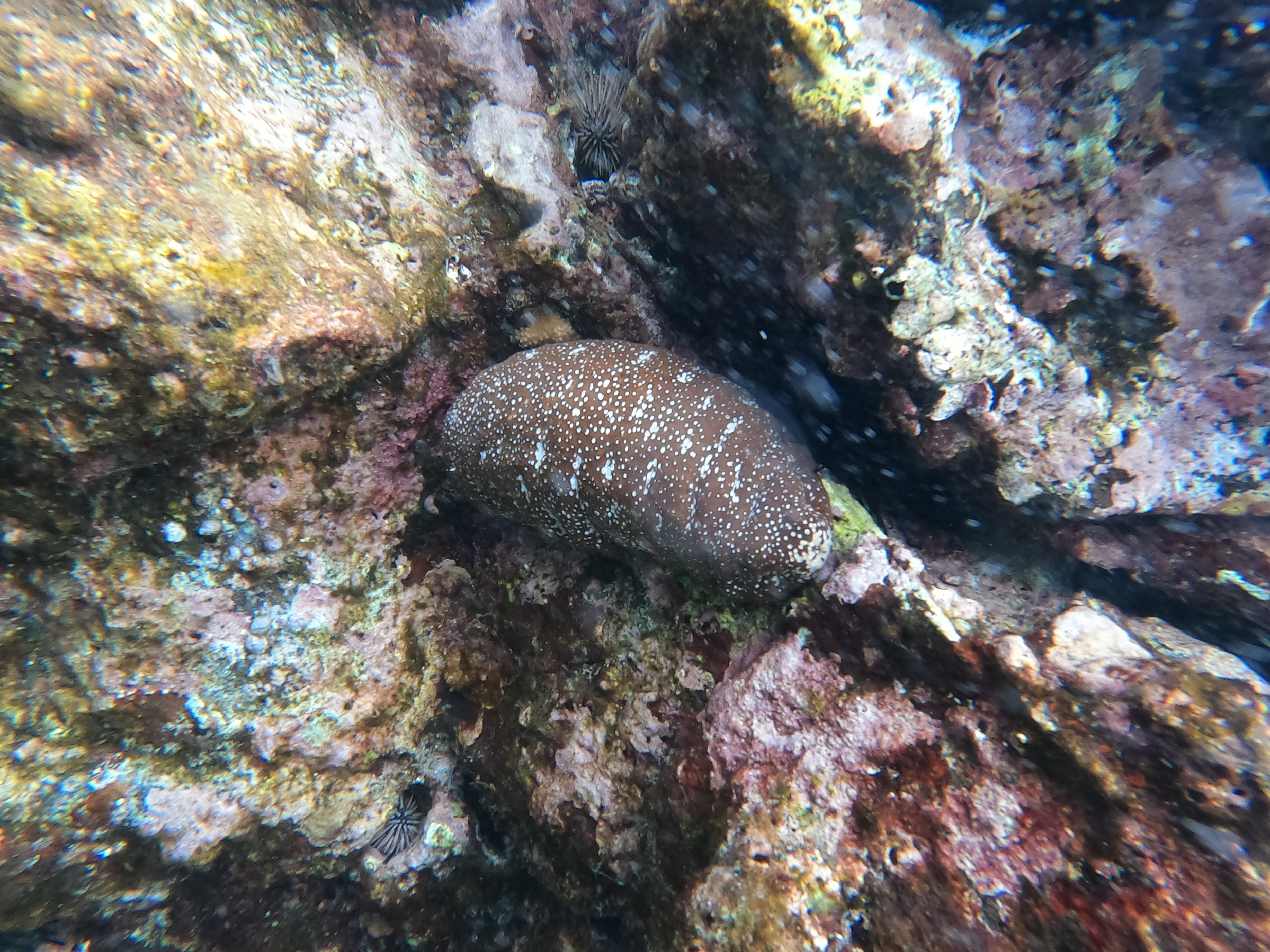 美国风光之夏威夷,夏威夷哪个岛适合度假