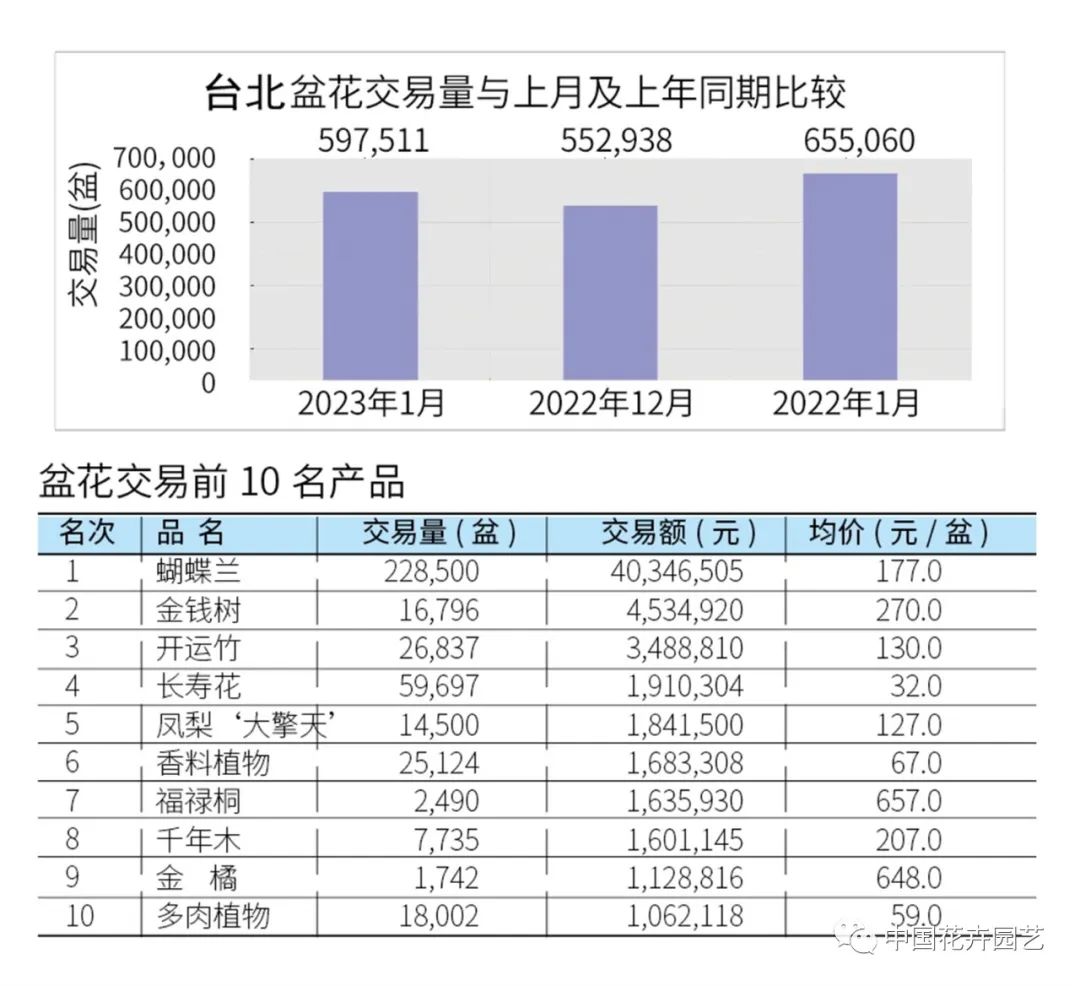盆花的市场行情,小盆花行情