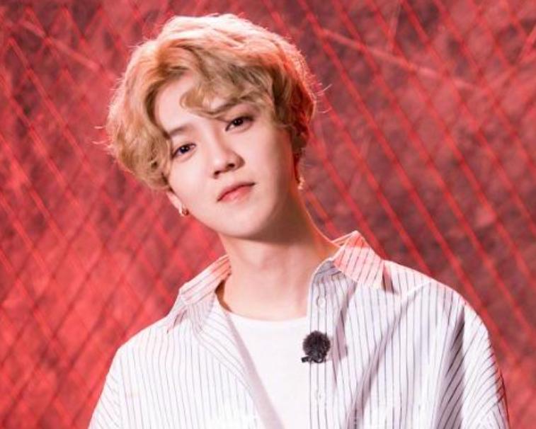 如何评价鹿晗歌唱水平,所有明星对鹿晗的评价