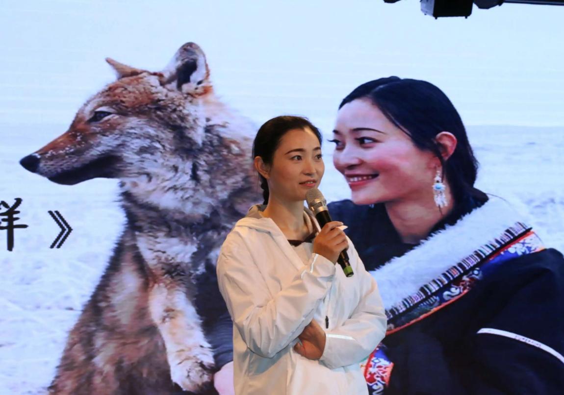 12年前把狼带回家当儿子,12年前成都女孩把狼儿带回家