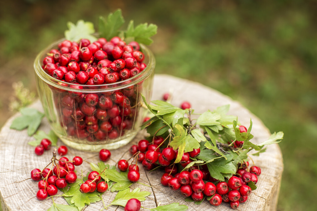 油腻食物吃多怎么办,吃油腻消化不良怎么办