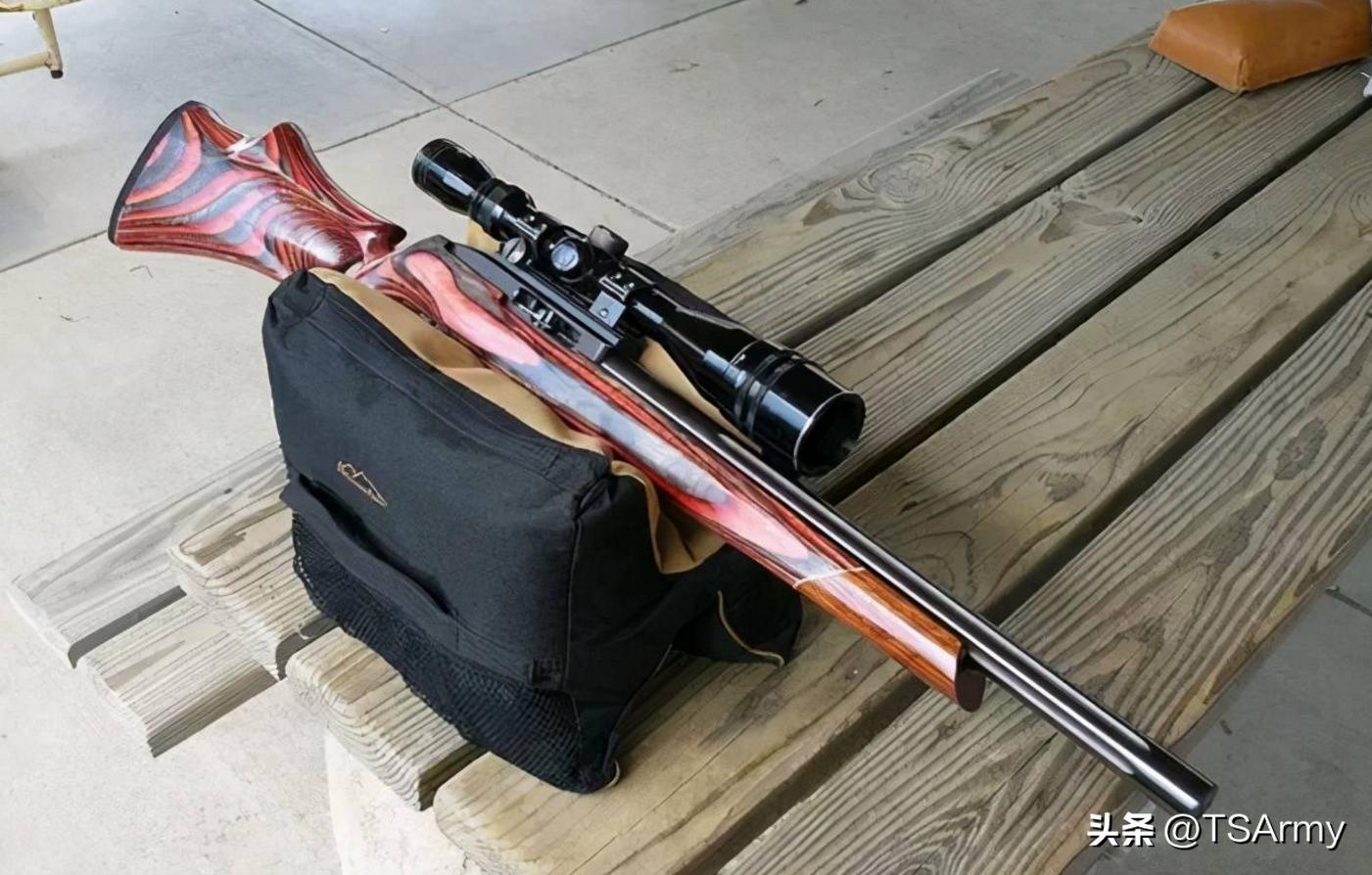 美国民用枪排行,美国民间最多的枪械