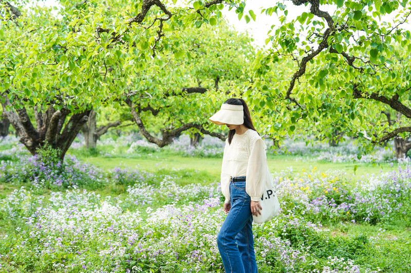 宿州两日游,宿州旅游攻略三日游