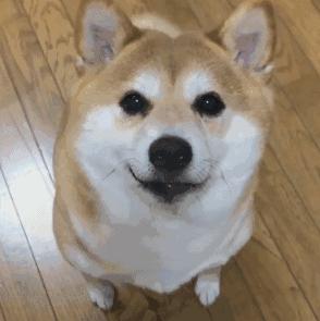 企业管理的病态现象,公司中层管理的十大技巧