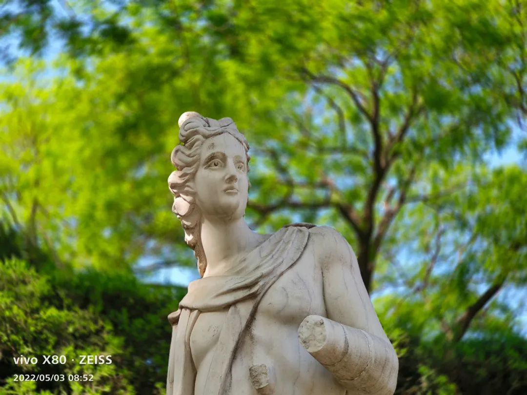 vivox80全面测评,vivox80和x80pro