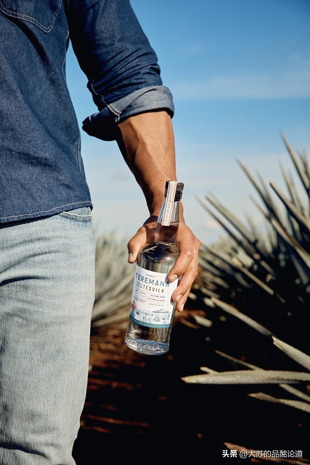 世界十大龙舌兰酒排名图片,詹姆斯喝的龙舌兰酒是哪一款