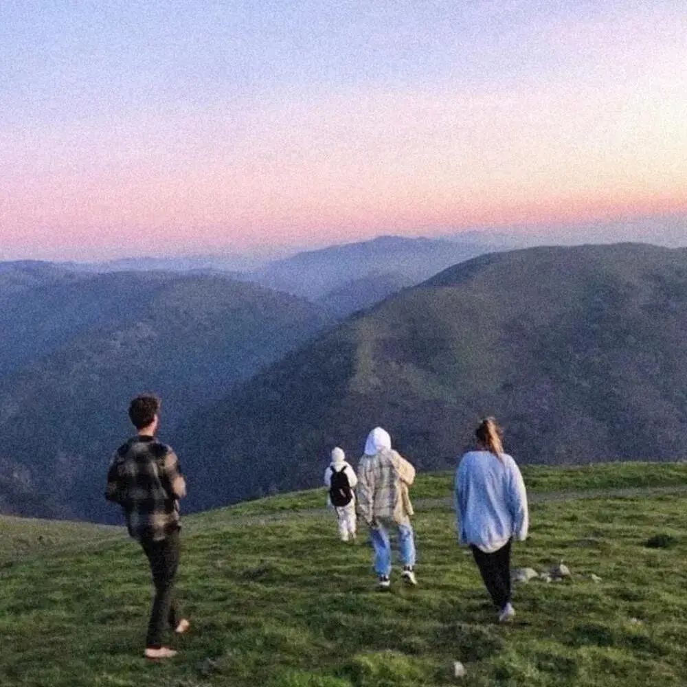 朋友圈背景送给大家,朋友圈背景送你一朵花