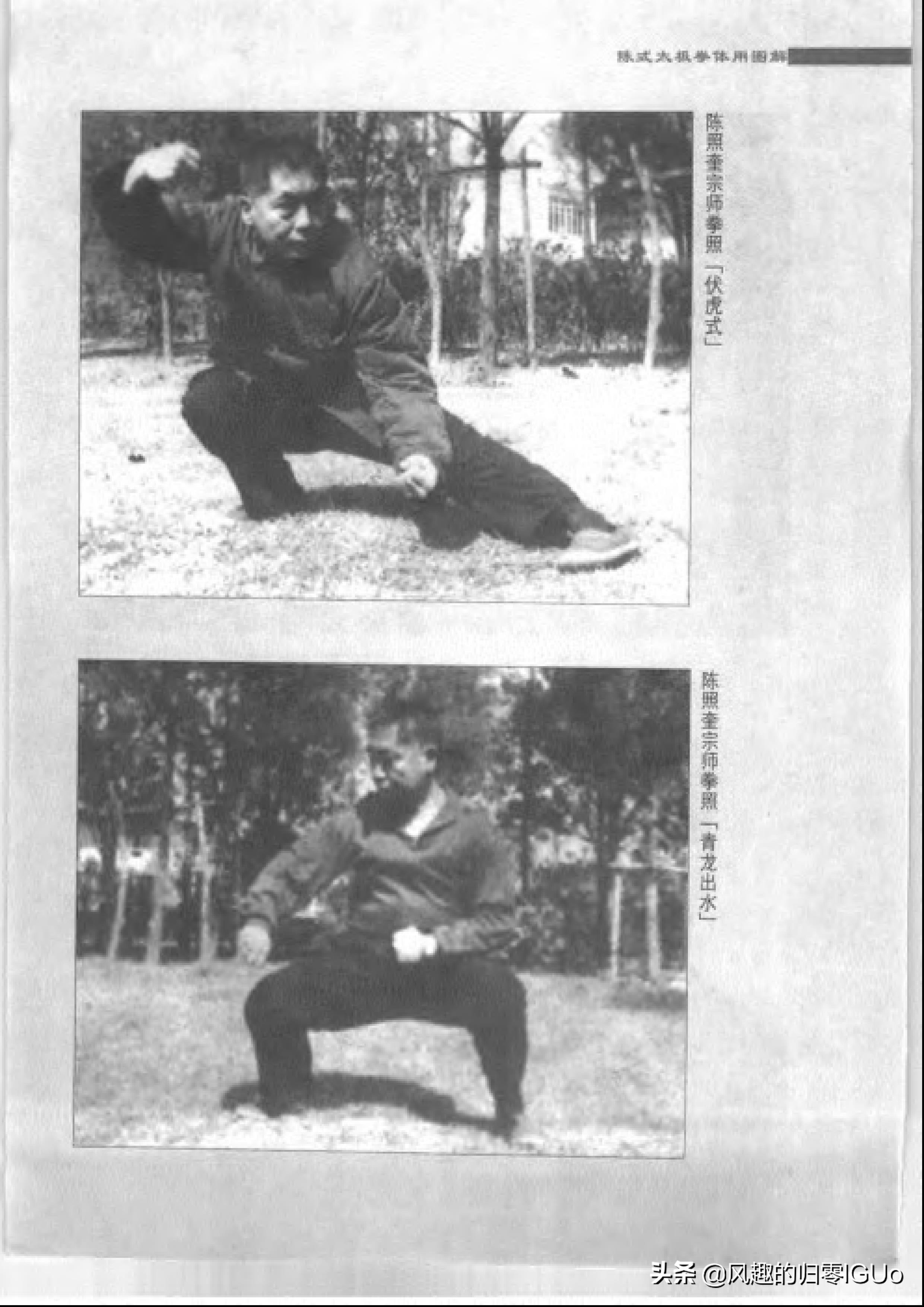 马虹太极拳功夫,太极拳马虹