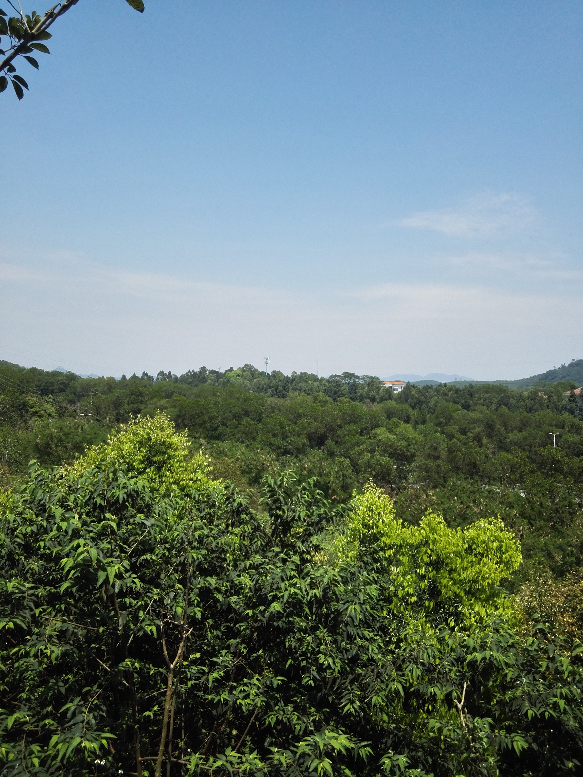 深圳平峦山公园,深圳宝安平瑾山公园图片大全