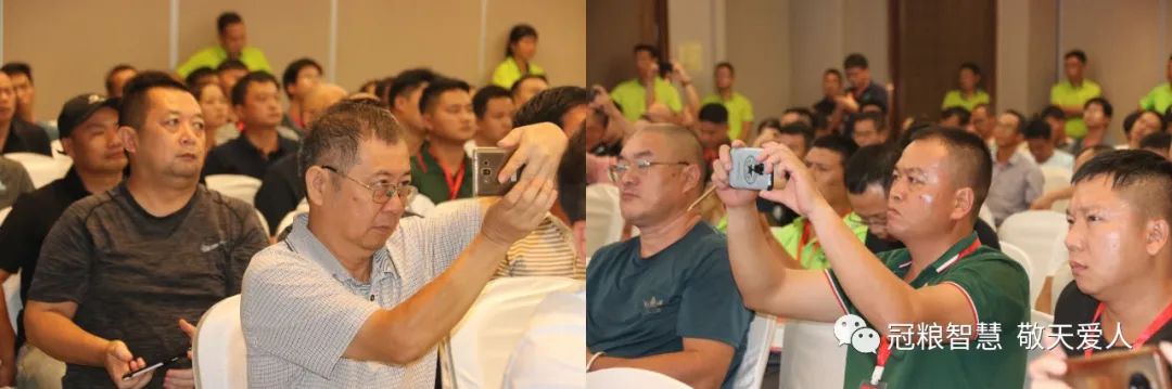 柑橘黄龙病防控工作总结,柑橘黄龙病绿色防控技术