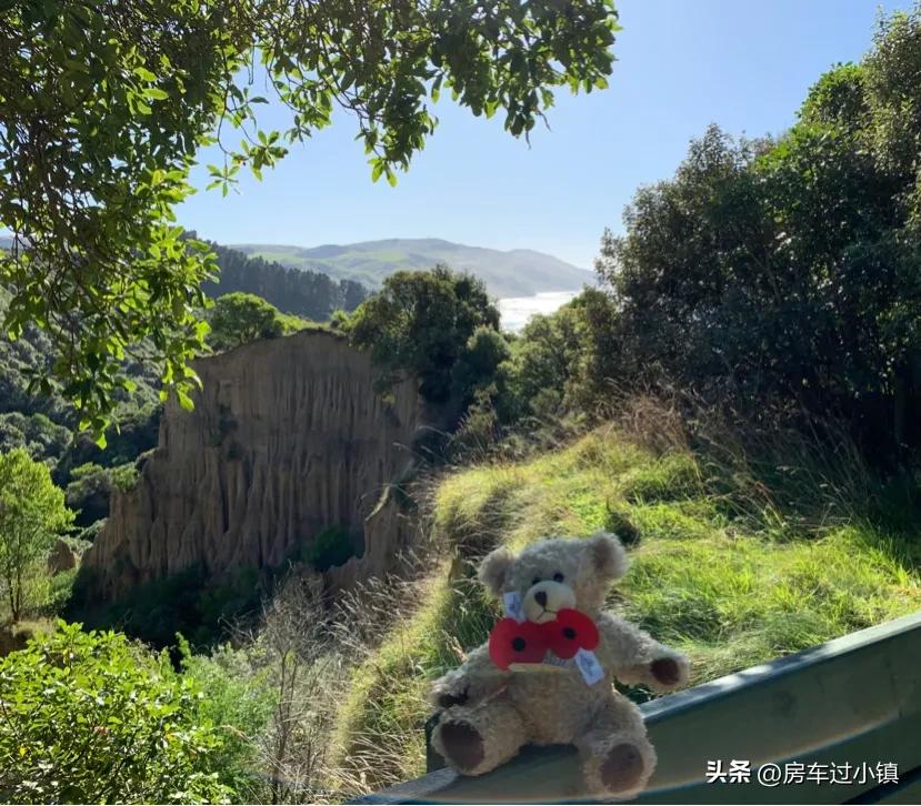 阿拉蕾的小镇、五元松果及其它——新手新车新西兰之十