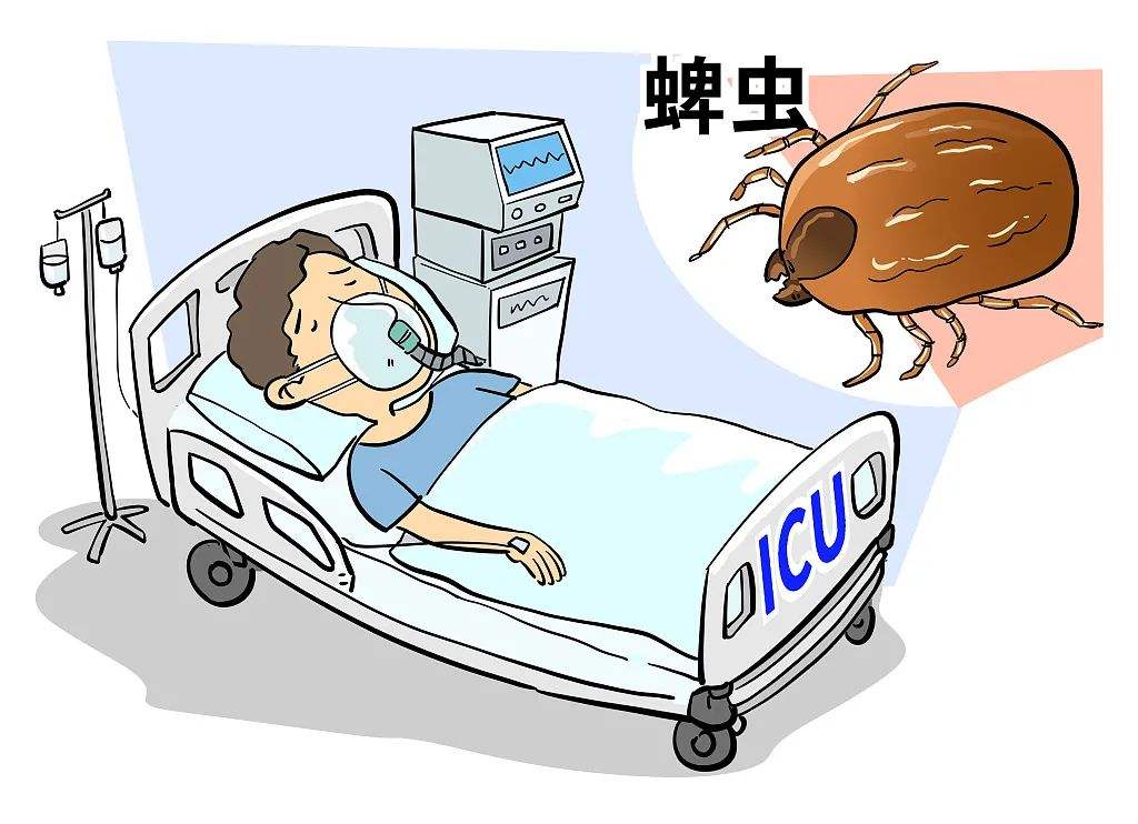 当心蜱虫,蜱虫该怎么避免