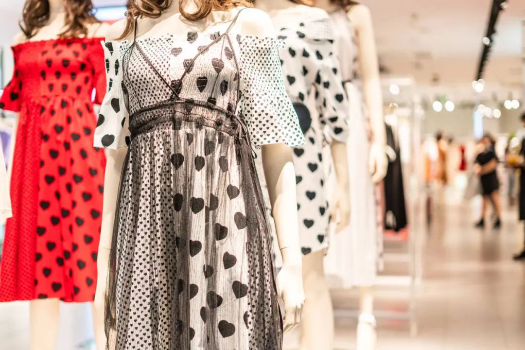 东北漫天飞雪中太平鸟枝头觅食,枝头太平鸟视频