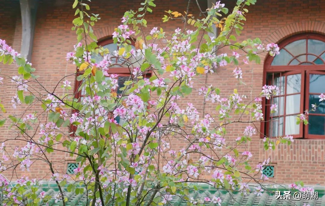 广州旅行打卡文艺街区,广州文艺圣地东山口