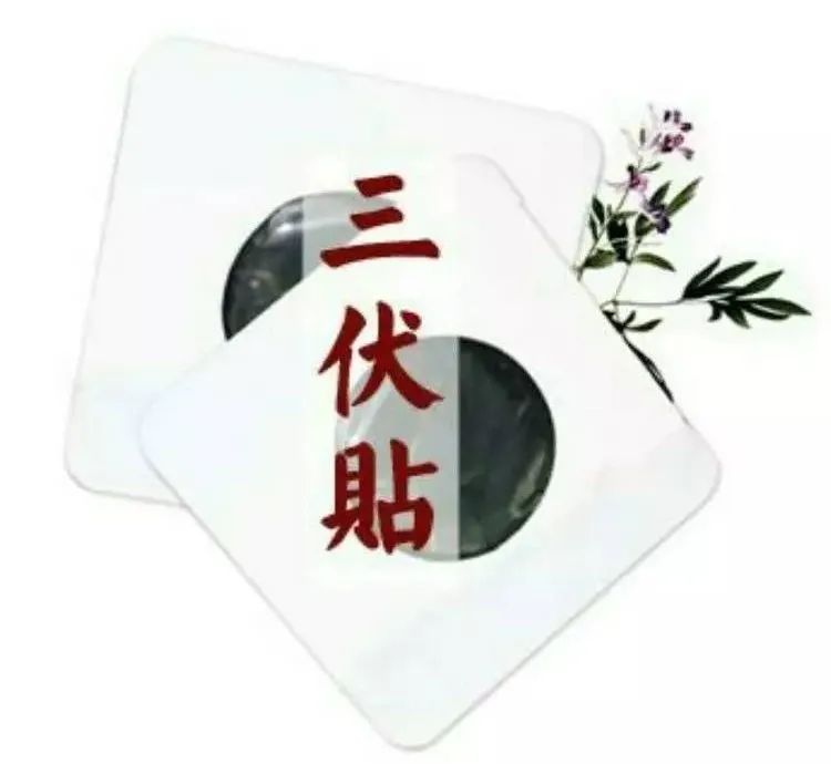【每日一方】今年夏天,三伏贴——你约了吗?