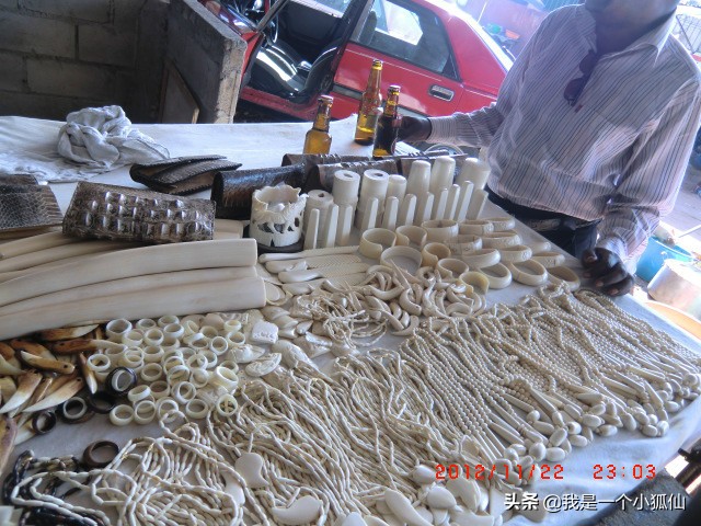我在非洲安哥拉象牙市场买了个啤酒起子《我在安哥拉的日子345》