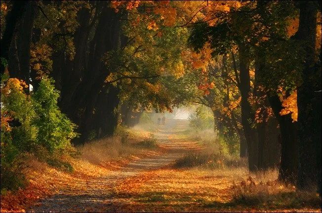 100幅经典摄影作品欣赏,100幅精品摄影图