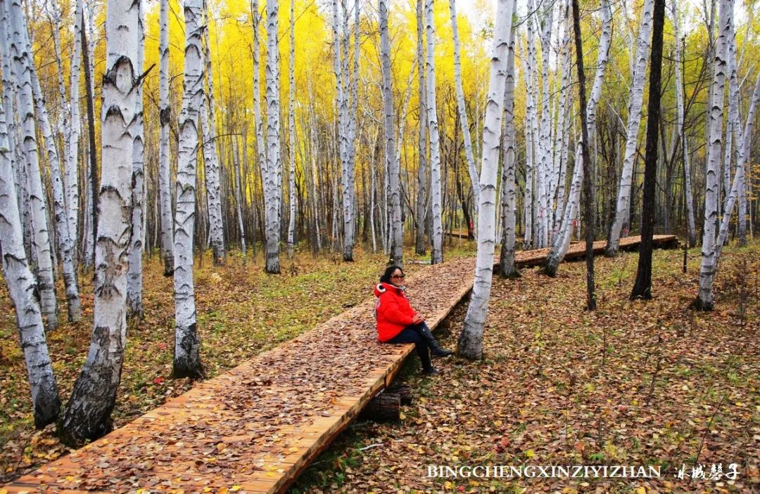 秋天大兴安岭最美的地方,秋天美丽的大兴安岭