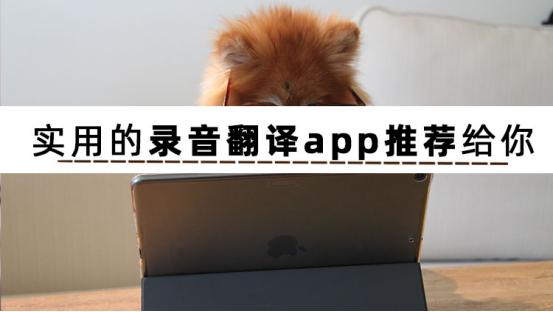 录音翻译文字软件中文完整版,目前最顶级的翻译app录音