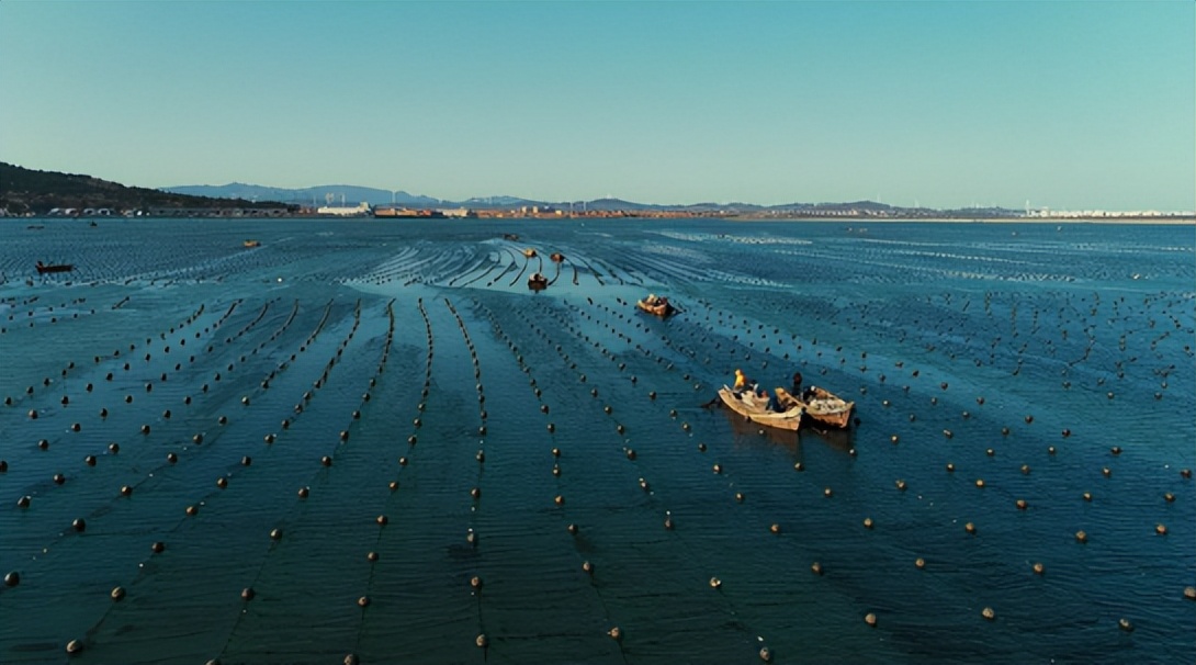 姘翠骇鍏绘畺濡備綍瀹炵幇纰虫眹,纰虫眹娓斾笟涓庝紤闂叉笖涓氱殑鍙戝睍鏂瑰悜