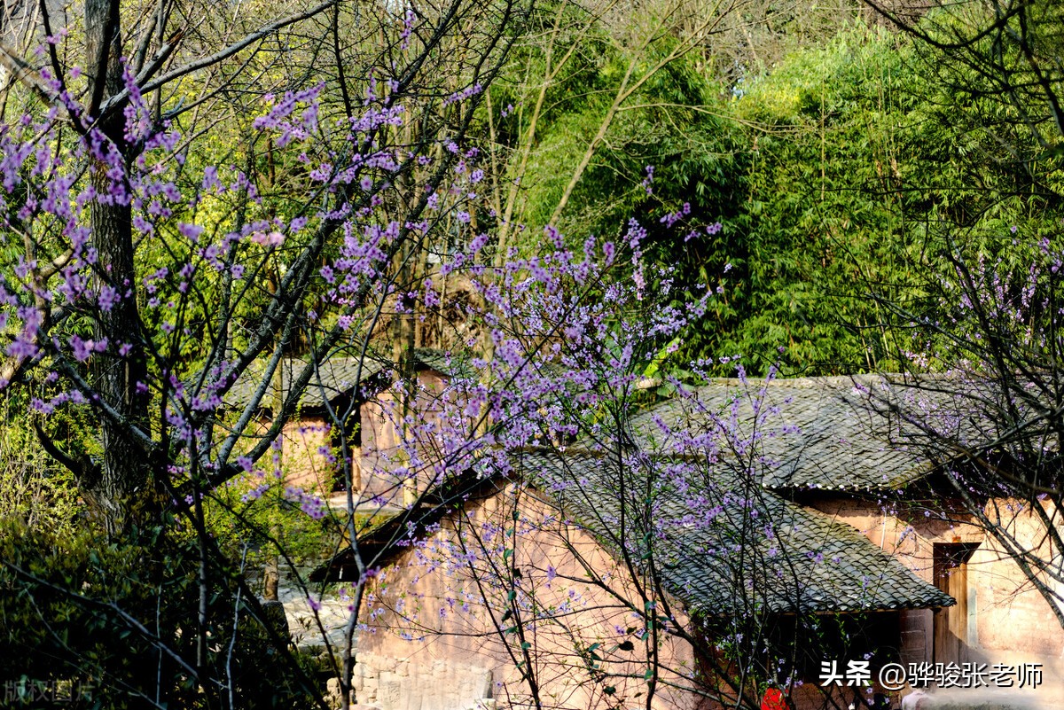 八大美院有985和211吗,八大美院有几个985院校