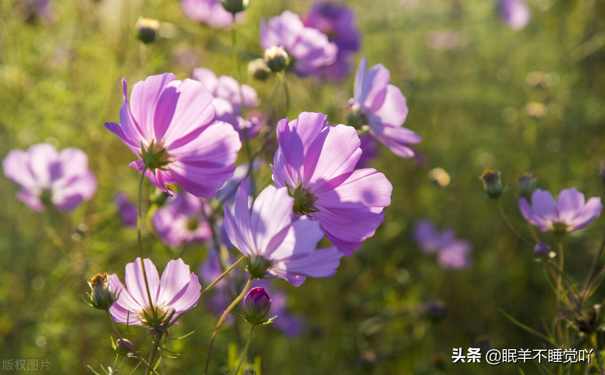 过度在意别人对自己的在乎,别总在意别人的感受而委屈了自己