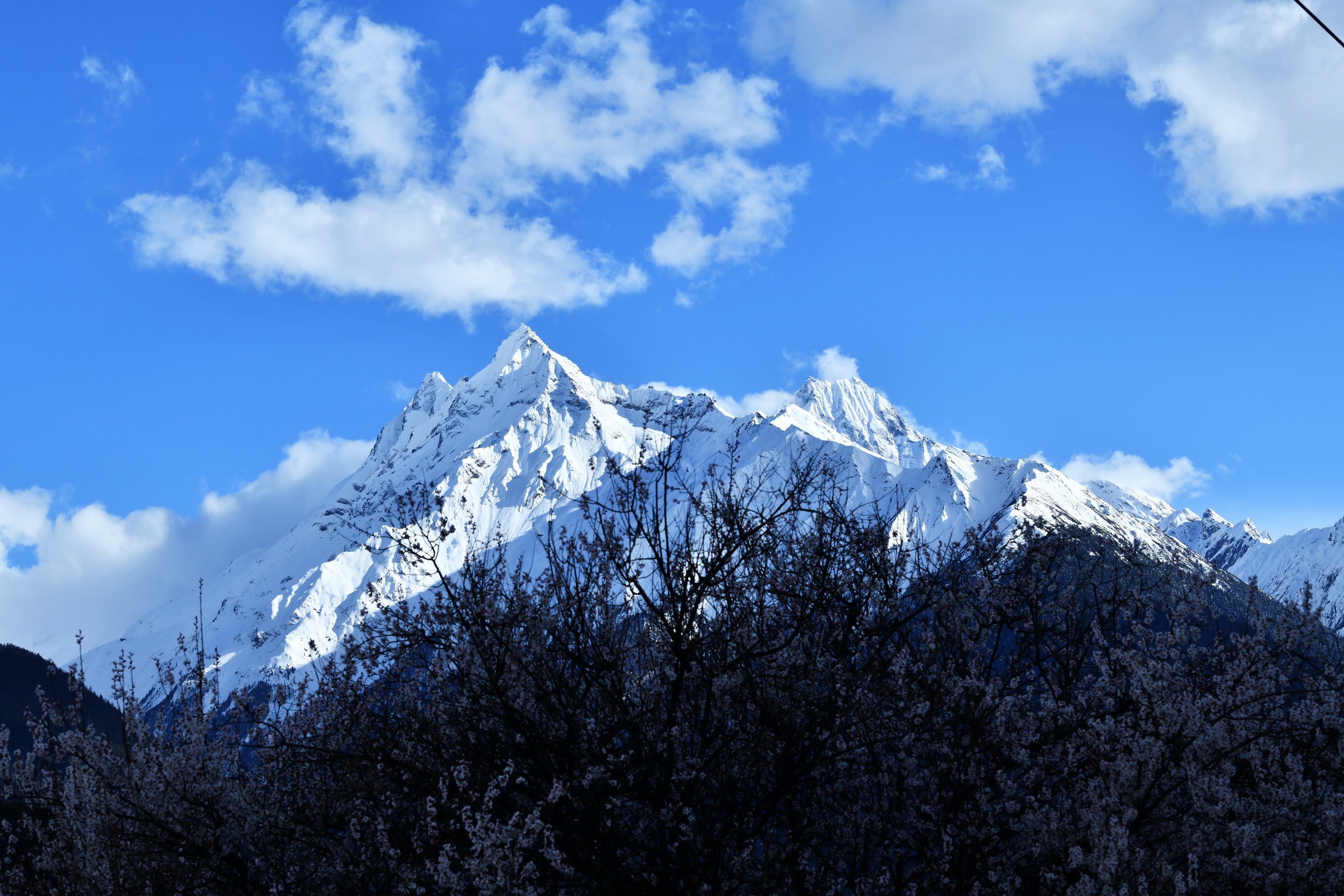 我的林芝一日游攻略,林芝看桃花西藏之旅