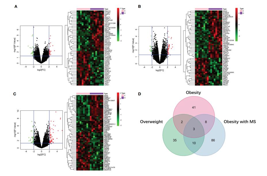 sci论文化繁为简,sci速成手把手教你写