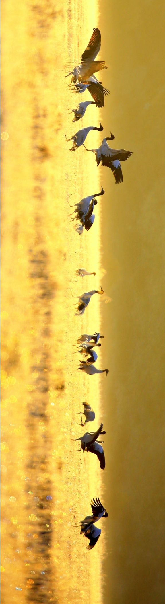 川西阿坝旅游详细攻略地图,川西阿坝旅游攻略三天