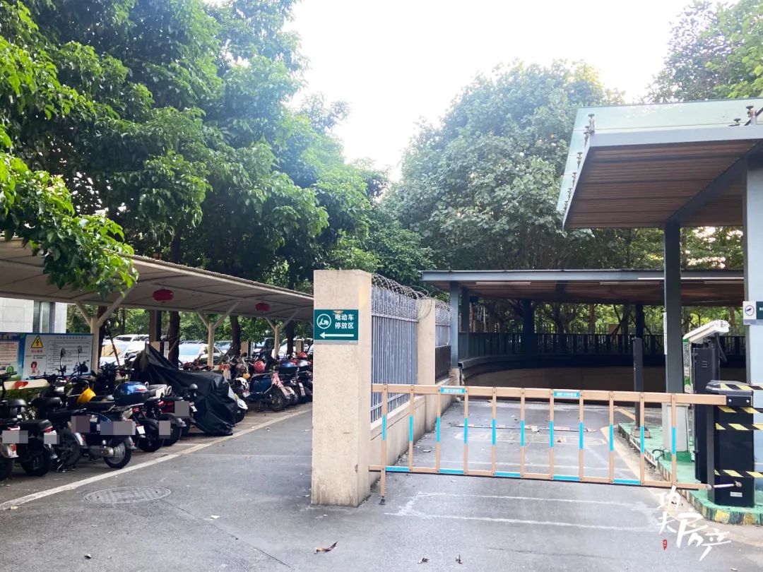 揭秘!10万+的天悦也很多*鸡电**!*鸡电**棚最豪的竟是它