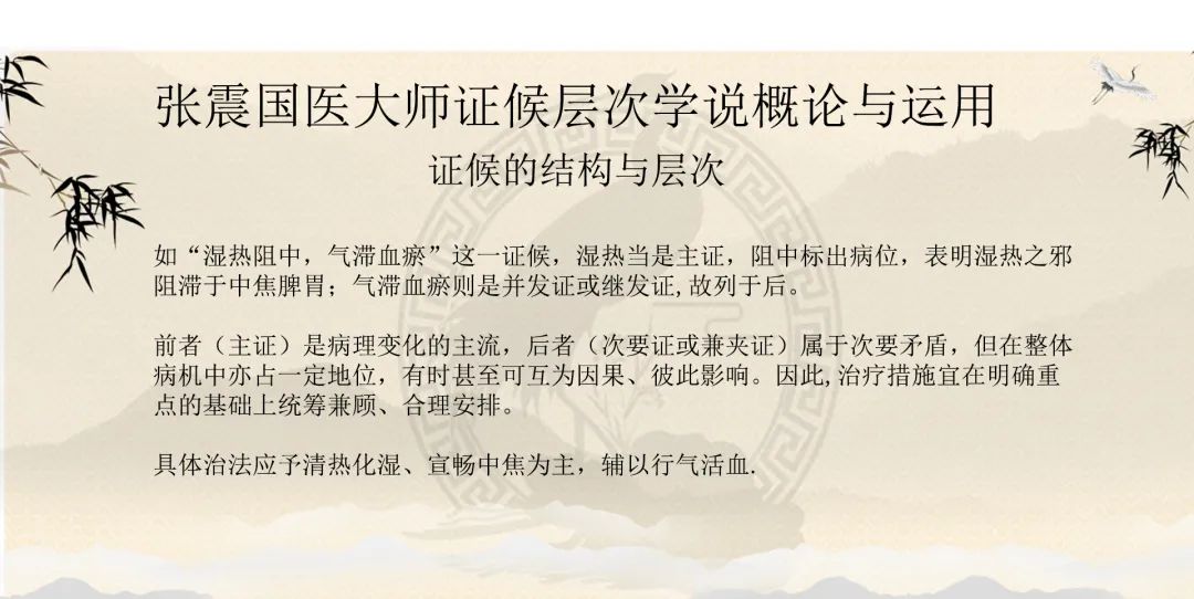 中医疏调气机法讲座,国医大师张震讲疏调气机汤视频