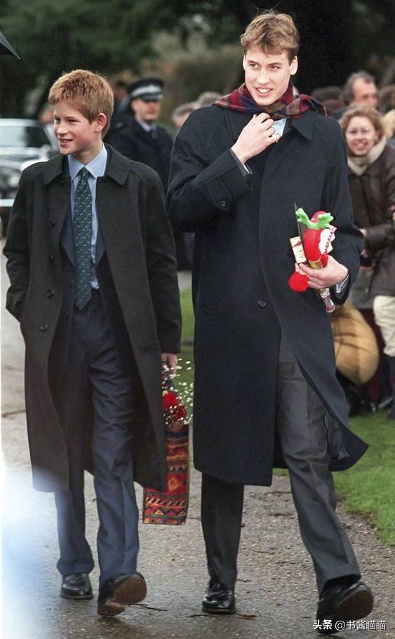 卡米拉王后的孙辈 (卡米拉王后的孙辈照片)