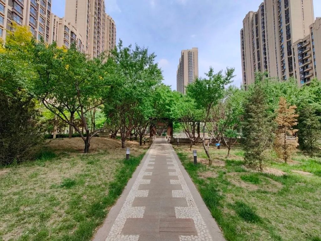 谁是影像机皇,谁才是手机机皇