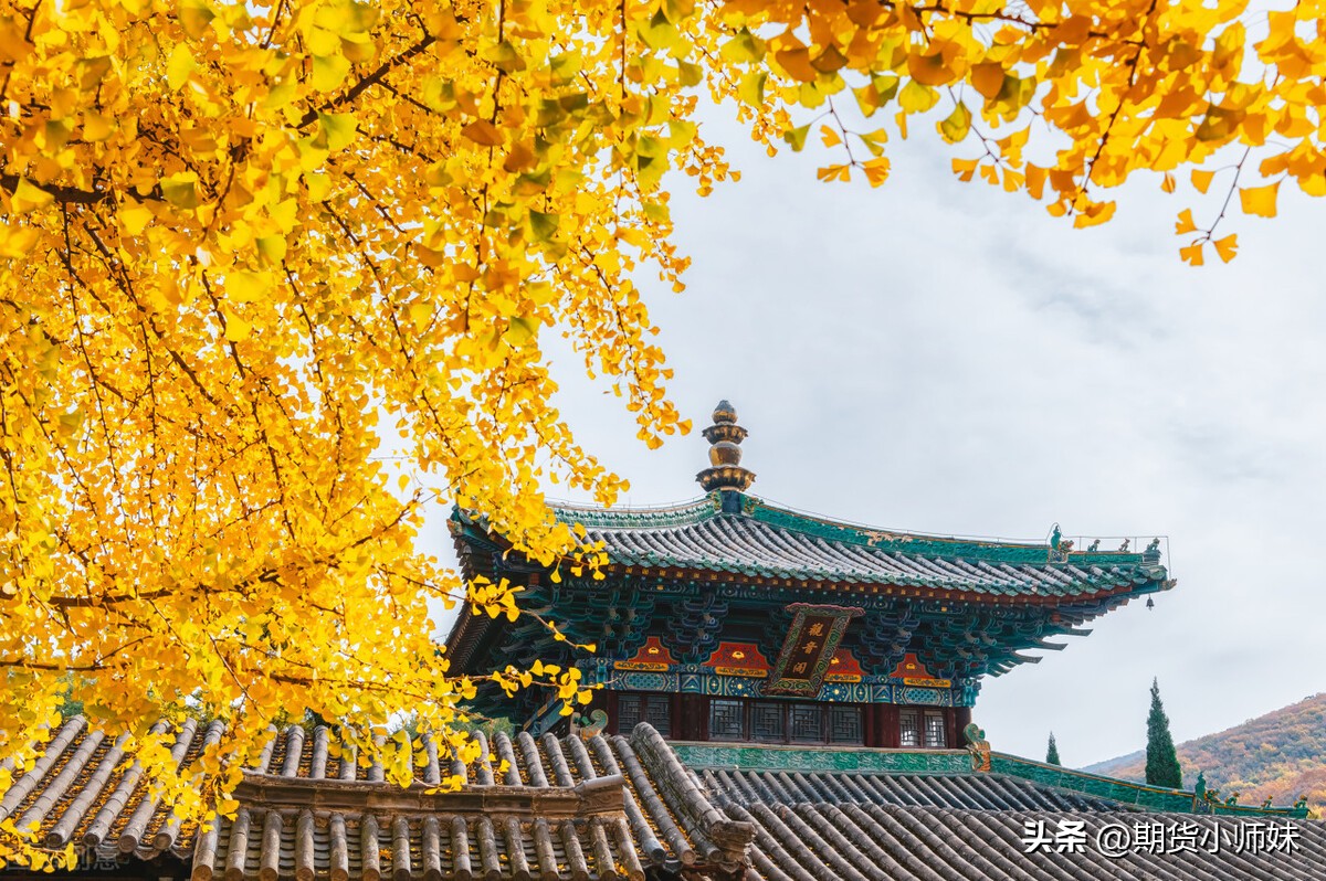 投资决策的6大心理,最常见的投资心理