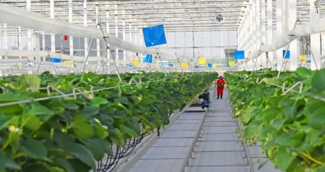 打造全国农业现代化示范区,现代化农业示范区规划图