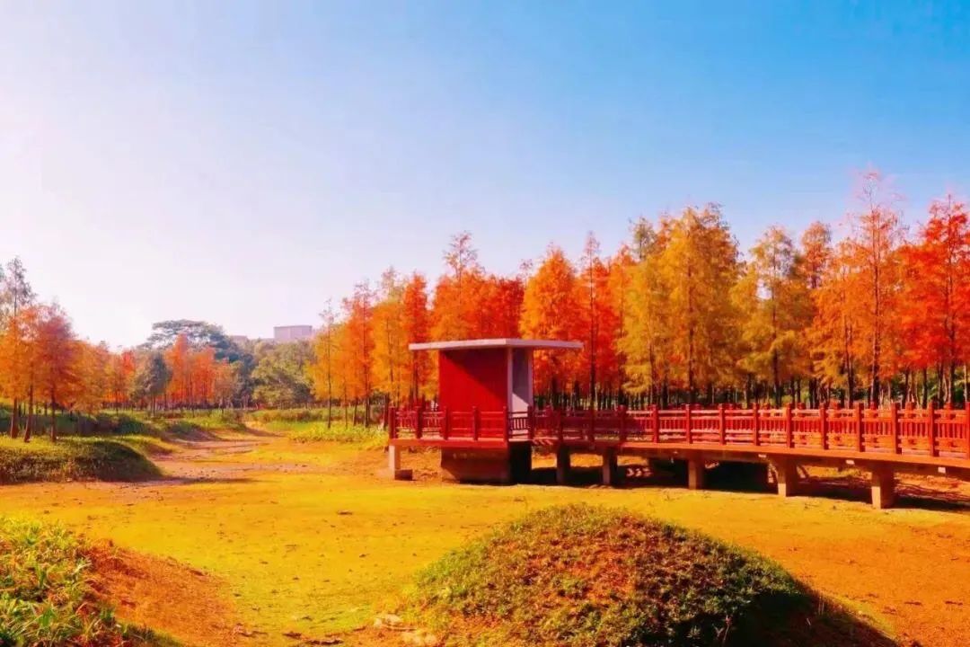 龙岗美盛岭尚苑多少钱1平方,龙岗美盛岭尚苑88平样板房