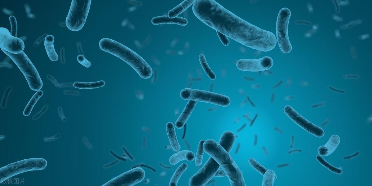 前列腺素都有哪些作用功能,前列腺有什么用途